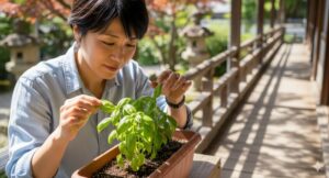 バジル 虫がつかないようにするにはどうしたらいいですか?