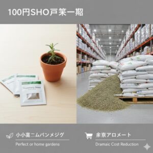 - ダイソーの種の安さの理由を示すインフォグラフィック。少量パッケージの種と育ったローズマリーの鉢植え、そして大規模な倉庫に積まれた大量の種袋の対比。
